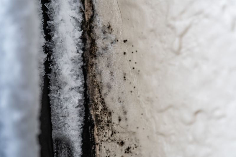 Black mold, frost, and ice moisture along a window in a hotel room