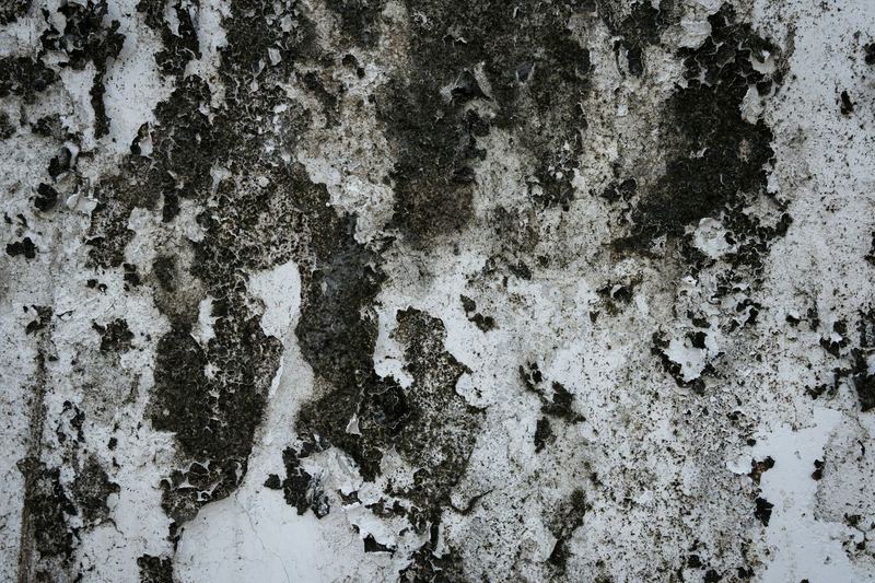 Peeling paint and grime on a damp wall